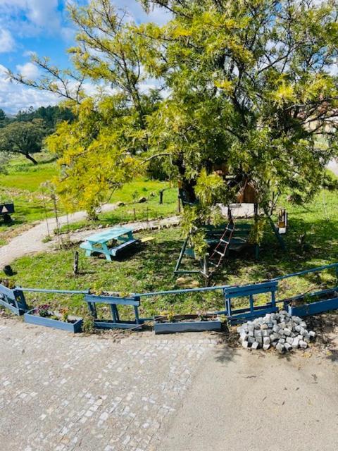 Zion Jardim Frühstückspension Monsanto
