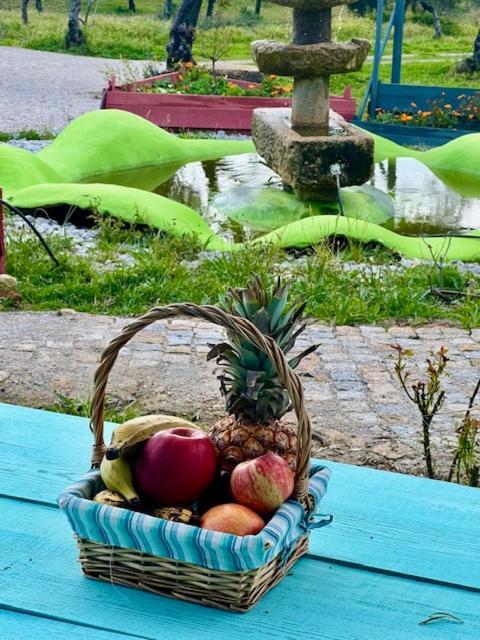 Zion Jardim * Monsanto