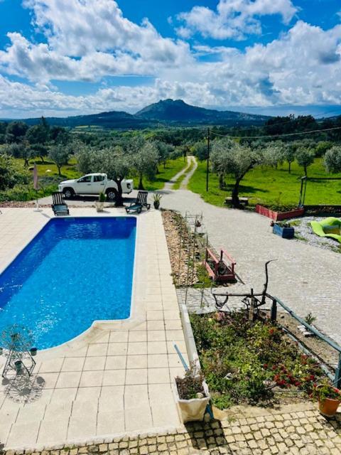 Zion Jardim * Monsanto