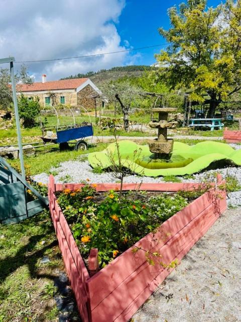 Bed & Breakfast Zion Jardim
