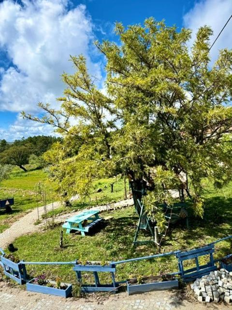 Zion Jardim Monsanto