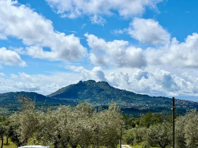 Zion Jardim
