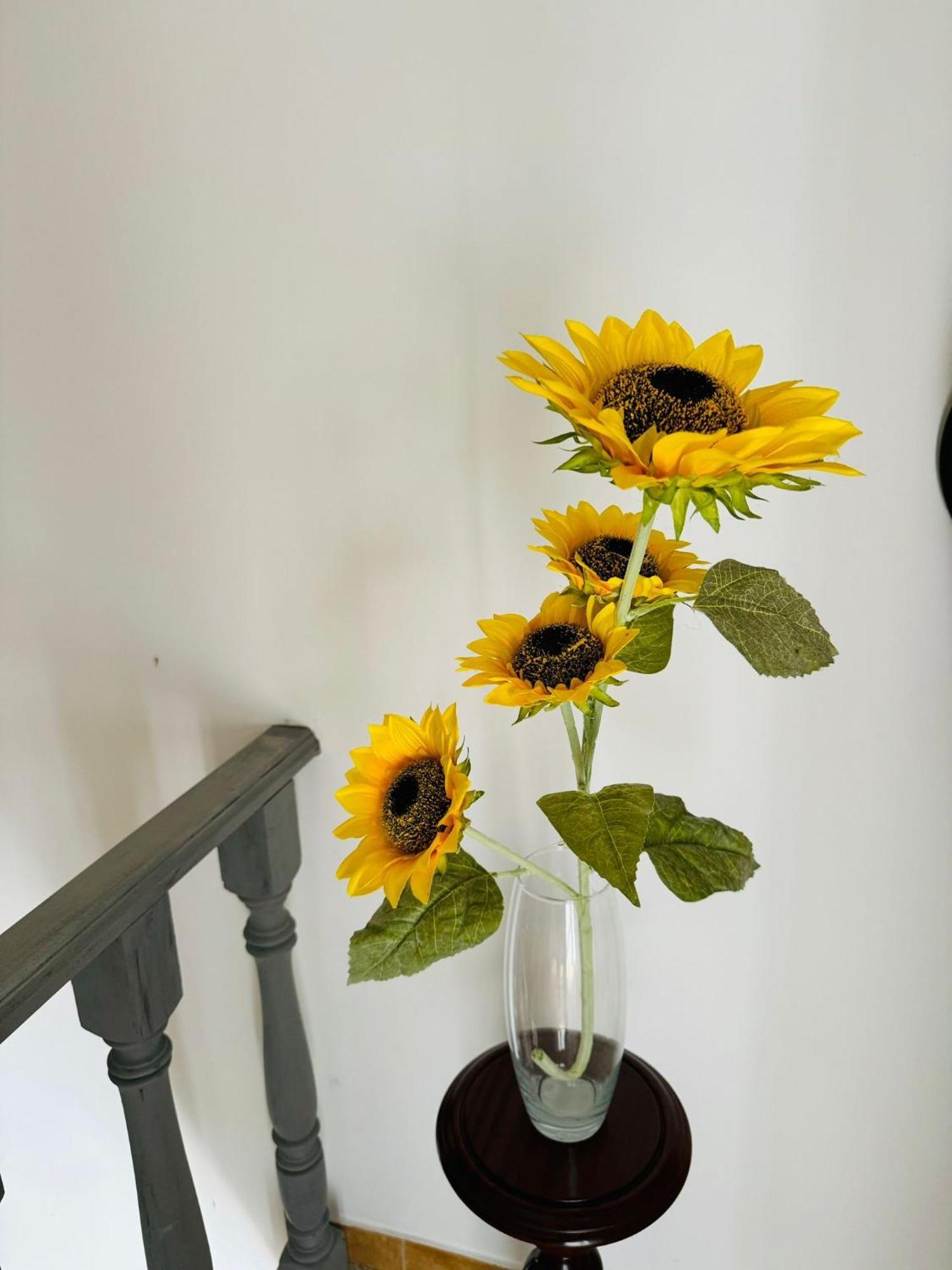 Zion Jardim Bed & Breakfast